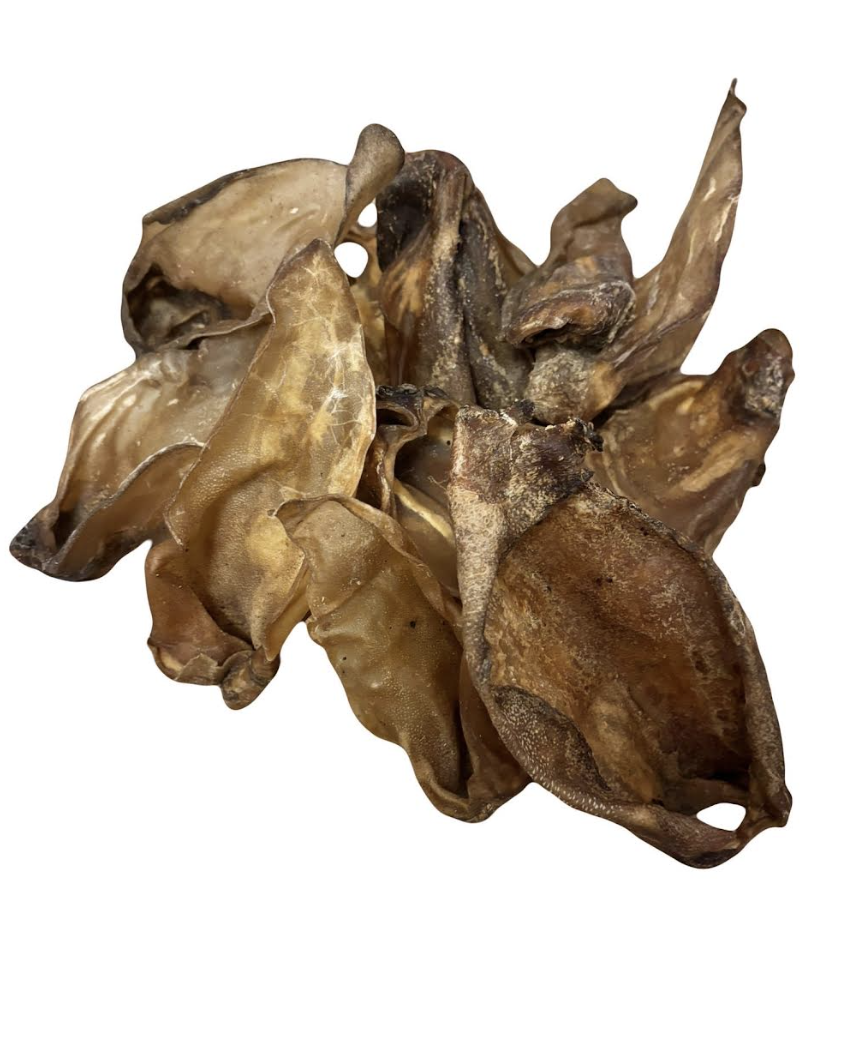 No Bone 'appetite - Bone Free 15 Piece Bundle